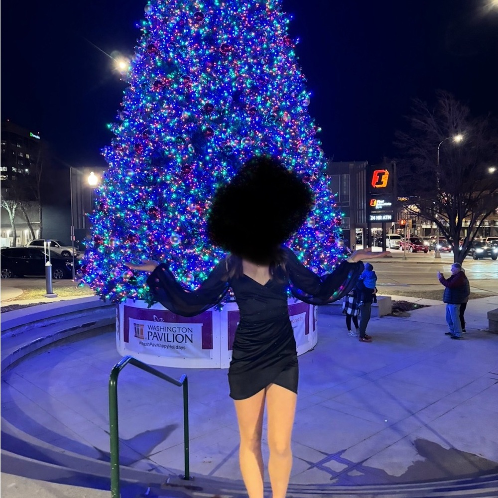 Windsor Black Mini Dress